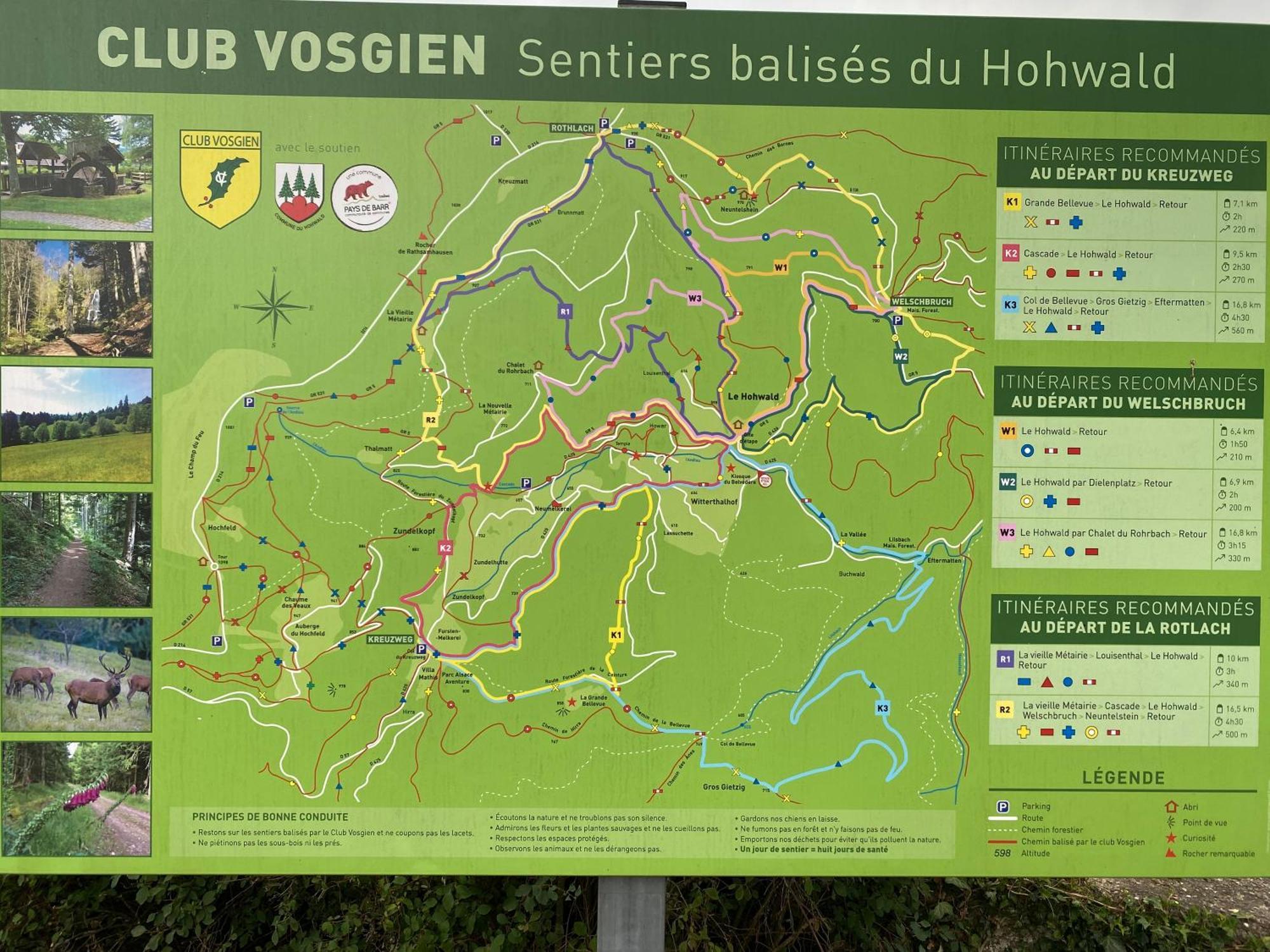 Au Cours D'eau Le Hohwald
